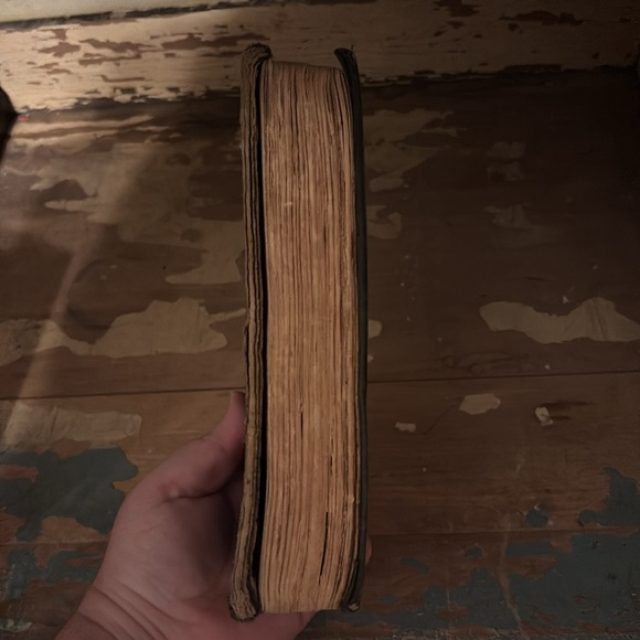 1920s book The Bobbsey Twins in the Great West - Picture 4 of 8